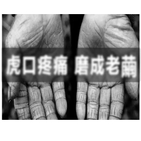 【藍芽電剪+伸縮桿║藍芽雙件組】電剪｜修剪枝｜鏈鋸｜單手鋸｜高低兩用(立豐科技燕巢)