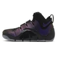 LEBRON 4 EGGPLANT