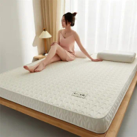 Coconut Latex Mattress Thickened Memory Sponge Cushion Household Stereo Couple Massage Mattress Bedroom Furniture Accessories