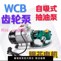 WCB便攜式齒輪泵榨油機泵電動自吸抽油泵柴油機油泵菜籽油大豆油