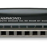 SUZUKI Harmonica HA-20 Promaster Hammond 10-hole Blues Harmonica Diatonic- KEY Of C