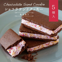 博多巧克力夾心餅（甘王草莓）5個裝  甜點日本必買 | 日本樂天熱銷