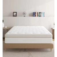 12 Inch Queen Size Mattress, in A Box with Individual Pocket Spring,for Pressure Relief Motion, Memo