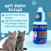 Obat Anti Hamil Kucing Mencegah Kehamilan Kucing dan Proses Ovulasi Pada kucing Obat KB Kucing Pence
