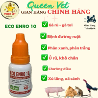 Eco Enro 10 (10 ml) Đặc trị phân xanh, phân trắng, phân loãng, phân sống, chướng diều, khô chân, sã 