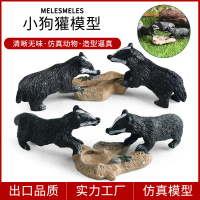 Mainan Model Mamalia Liar, Simulasi Kognitif Kanak-kanak, Anjing, Badger, Cub, Musang, Badger Gunung