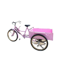 YY Tricycle Human Pedal Elderly Adult Pull Goods 24-Inch Stall Car