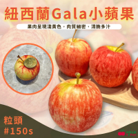 【舒果SoFresh】紐西蘭加拉Gala蘋果#150(30顆/約3.4kg/箱)