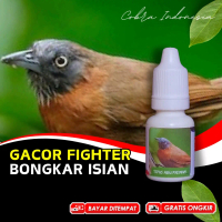 Vitamin Burung Tepus Kepala Abu Gacor