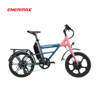 ENERMAX 安耐美 Falabella法拉貝雙功能打浪電動輔助自行車-城市車款(E-BIKE/輔助/動能/單車/小折)