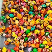 Mainan anak 25 kelomang/ umang umang warna warni