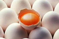 HasilSumberalaM INDOFARM Telur Ayam KAMPUNG MINI Organic Omega-3 Free Range Egg 1 butir
