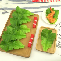 仿真生菜葉菜葉假蔬菜果蔬模型裝飾擺設道具生菜擺件果蔬葉子大片