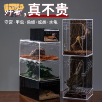 工廠直銷 爬蟲箱 壓克力飼養盒 爬寵飼養箱 寵物箱 造景箱 豹紋守宮睫角肥尾鬆獅蜥蜴角蛙螳螂蜘蛛蛇爬寵箱新店開業 全館折扣 售後保障 優選/免運