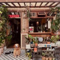 住宿 墾丁寵物友善 鐵宿 Tetsu B&B 南灣