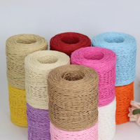 100g/Ball Raffia Yarn Kintting Paper Straw Yarn for Crocheting Hat Fancy Yarn Flower Packing Summer Fashion Handmade Material