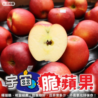 【WANG 蔬果】美國進口宇宙脆蘋果12顆x1盒(3.7kg/盒_禮盒裝)