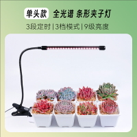 USB植物燈 LED植物燈 補光燈 USB夾子式多肉補光燈家用上色全光譜LED花卉盆景植物生長燈『ZW7101』