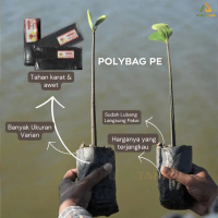 PRTN Polybag 40x40 CM 1KG Polibek 40cmx40cm Pot Tanaman 40 cm x40 cm PV145OBRAL