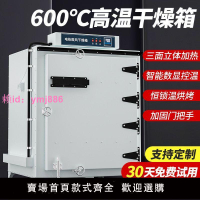 工業烘箱500度高溫試驗箱恒溫電焊條烤箱實驗室鼓風干燥箱汽車