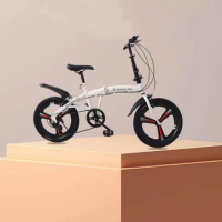 Wholesale Outdoor Cycling 20 Inch Folding Bike Adult Children Universal One Wheel Variable Speed Magnesium Alloy Bike