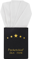 Pre-Folded White Silk Pocket Squares for Men Handkerchief Accessories Pocket Square Holder for Mens 