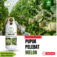 Pupuk Organik Cair Pembesar dan Penyubur Buah Melon/ Pupuk Booster Melon
