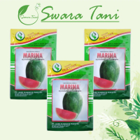 Q&J Marina Benih Semangka F1 20 Gram Non Biji Cap Benih Pertiwi Stok TerbatasCn768