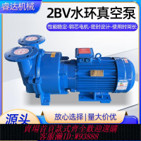 工業真空泵 2BV水環式真空泵鑄鐵不銹鋼工業機械醫藥電子食品專用水環真空泵