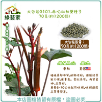 【綠藝家】大包裝G101.赤焰紅秋葵種子70克(約1200顆)