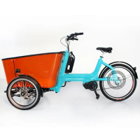 Swing Balance Device Cargo Bike Dual Hydraulic Disc Brakes 3 Wheel Bicycle Front Loading Dutch Bike Belts Tooth Chain