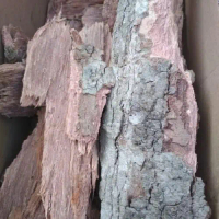 Kulit Kayu Duet Jamblang 1kg