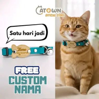 Sakana Kalung Kucing Nama Custom Tag Kulit Kalung Kucing Lucu Aksesoris kucing Kalung Kucing Kulit K