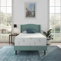 10 Inch Anula Green Tea Infused Memory Foam Mattress Bed Mattresses Twin XL Size Mattress Bed in a Box Matress Sleeping Queen