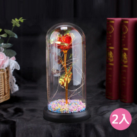 【VENCEDOR】玻璃罩玫瑰花(玫瑰花束 情人節花束 畢業禮物 生日花束-2入)