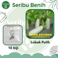 10 Benih Lobak Putih Ming Ho - Bibit White Radish Sayuran Umbi Putih