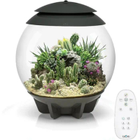 biOrb AIR 30, Fully Automated Terrarium for Arid, Temperate, or Tropical Plants, Gray