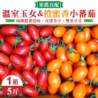 【WANG 蔬果】溫室玉女番茄VS橙蜜香小番茄5斤x1箱(共5斤/箱)