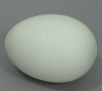《食物模型》雞蛋袋 ( 12 粒 ) - 白色 - B5062W