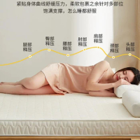 Coconut latex mattress cushion home student dormitory single mattress tatami mat bed mattress for rent