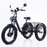 3 Wheel Electric Bike Trike 20inch Fat Tire 3 Wheel Electric Tricycle Three Wheels Adult Cargo Electric Bike Bicycle