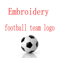 Embroidered Football Team Logo Motion Jersey Logo Sew on Luxury Brand Logo