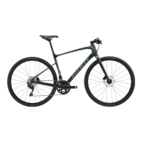 【GIANT】FastRoad AR Advanced 1 碳纖維極速平把公路自行車