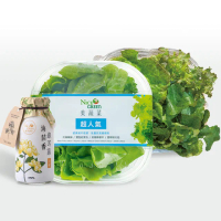 【NICE GREEn 美蔬菜】美蔬菜3盒+海茴香銀耳露4瓶送3包沙拉醬(生菜 蔬菜 海茴香 銀耳露 膠原蛋白)