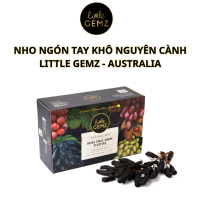 Q Nho ngón tay khô nguyên cành cao cấp Little Gemz Sweet Sapphire Table Grapes (1KG - 3KG - 7KG)