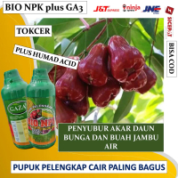 PUPUK PELENGKAP CAIR BIO NPK Plus Ga3 Plus HUMIT ACID Pupuk Jambu Organik Cepat Berbuah Lebat Booste