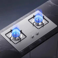 Stainless Steel Gas Stove Double Burner Household Natural Gas Stove Liquefied Gas Embedded Stove Desktop