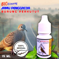 Obat burung Perkutut Membasmi suara serak dan parau HERBAL RAJAGANTANGAN