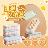 雞蛋收納盒10格