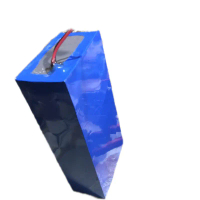 lifepo4 48v 15A untuk sepeda listrik dengan bms protection